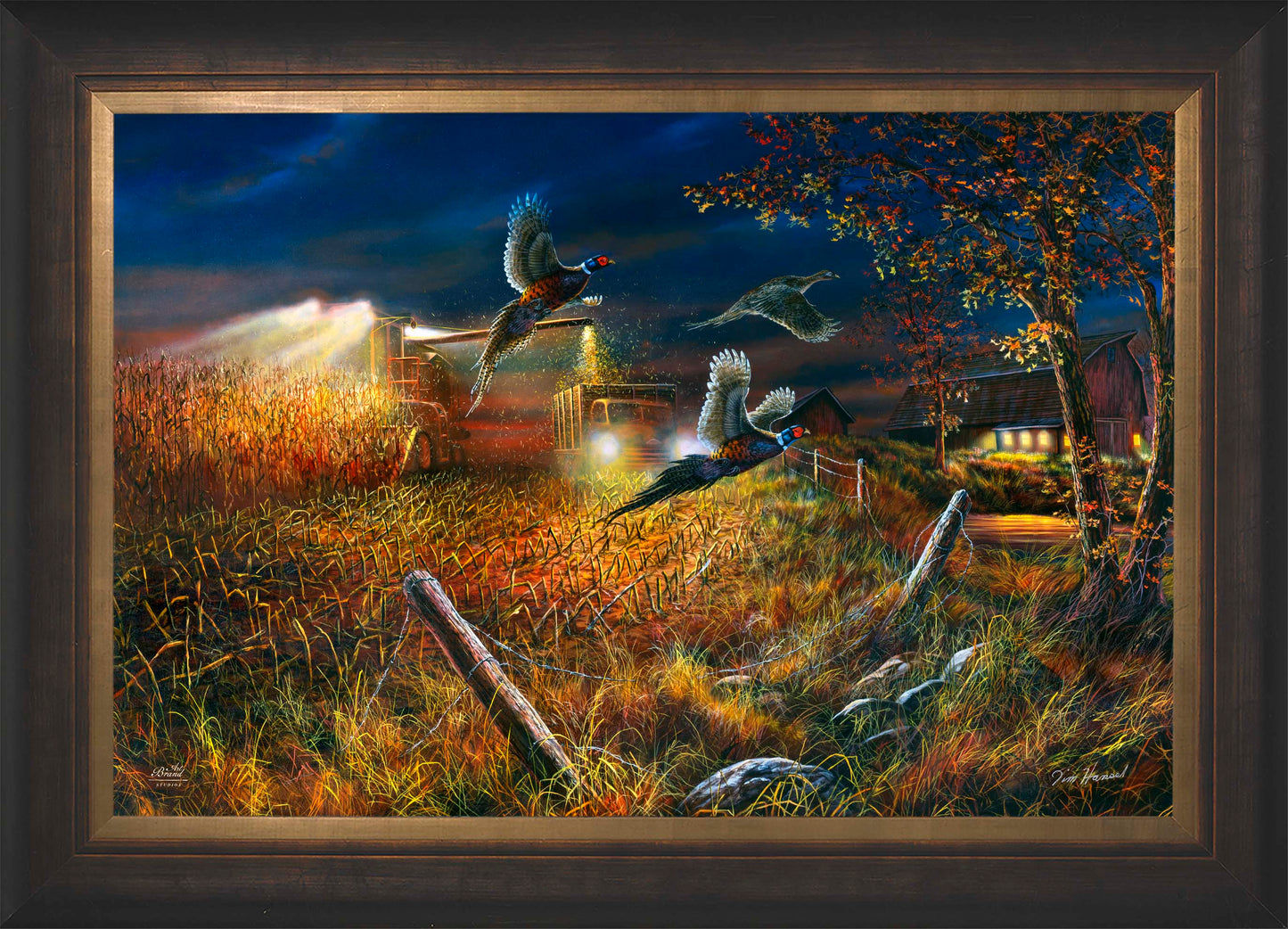 Field Of Dreams - Limited Edition Canvas