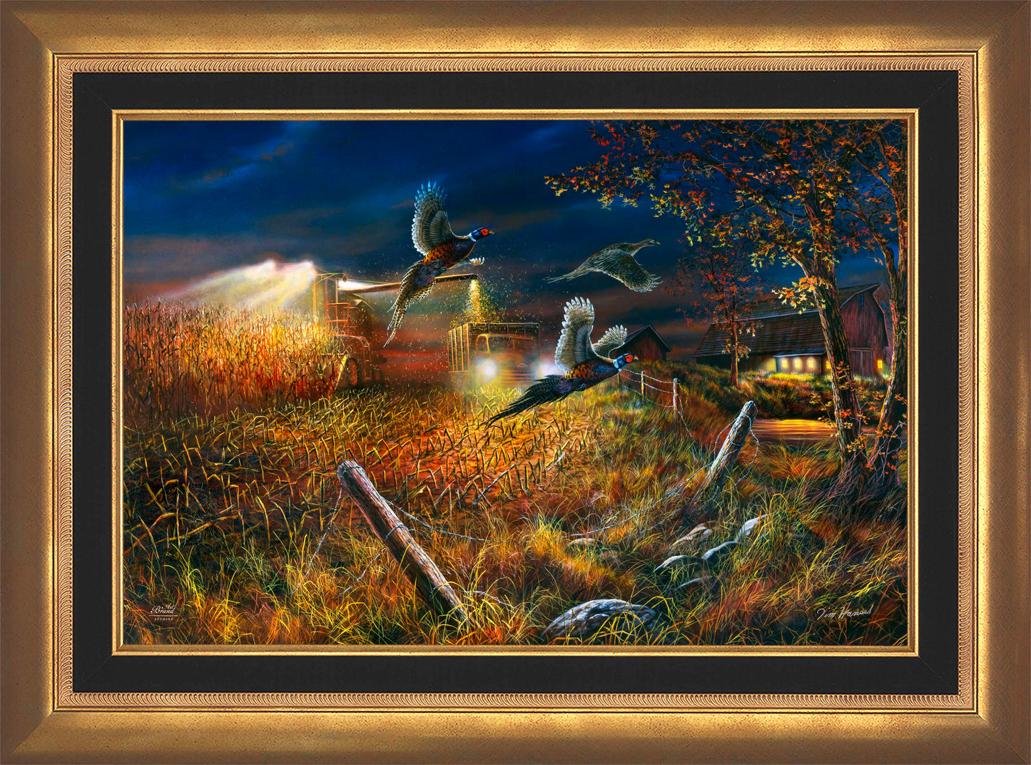 Field Of Dreams - Limited Edition Canvas