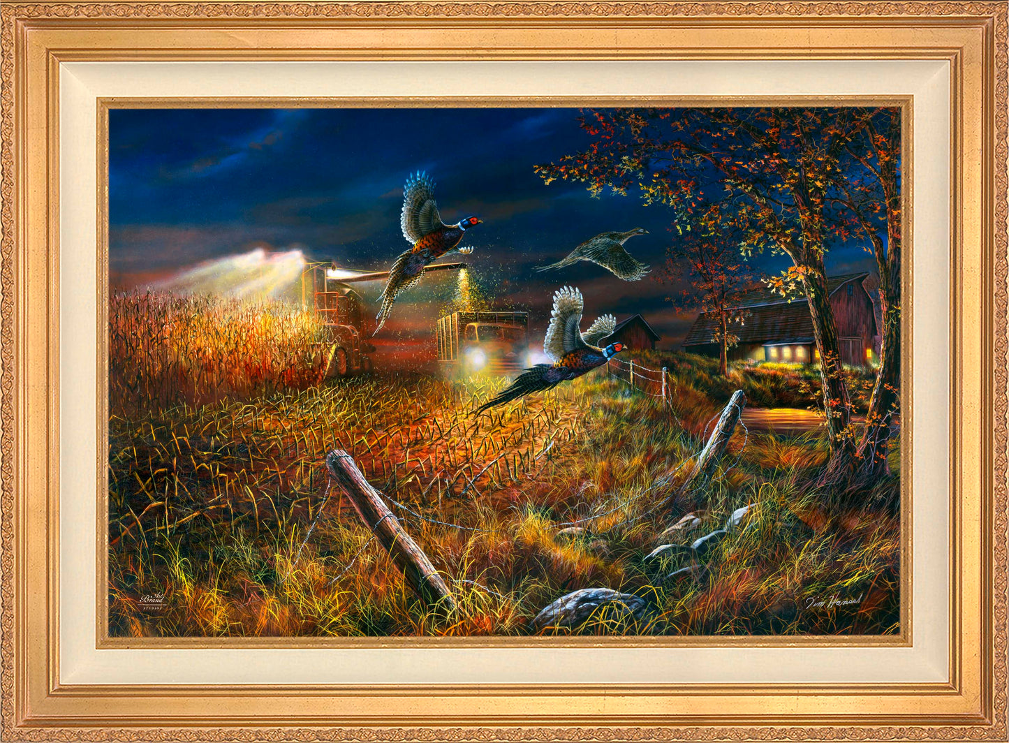 Field Of Dreams - Limited Edition Canvas