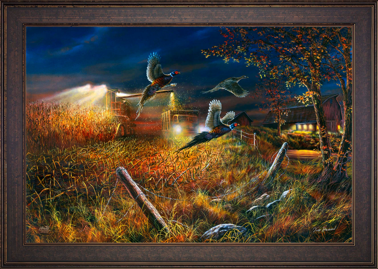 Field Of Dreams - Limited Edition Canvas
