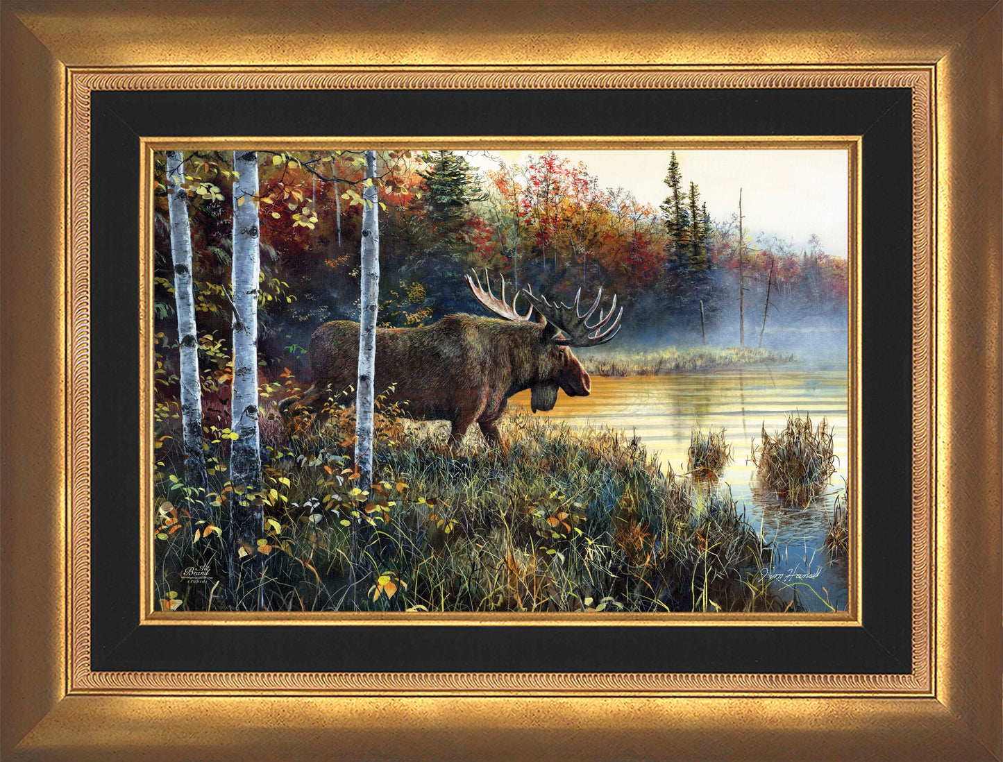 Master Of His Domain - Limited Edition Canvas