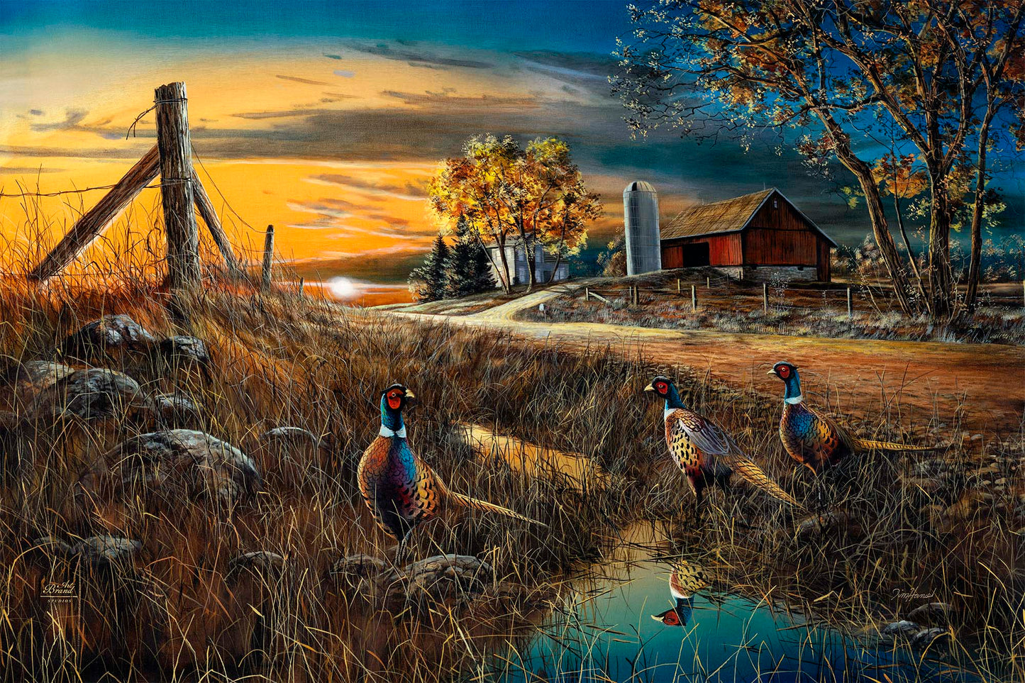 Roadside - Limited Edition Canvas