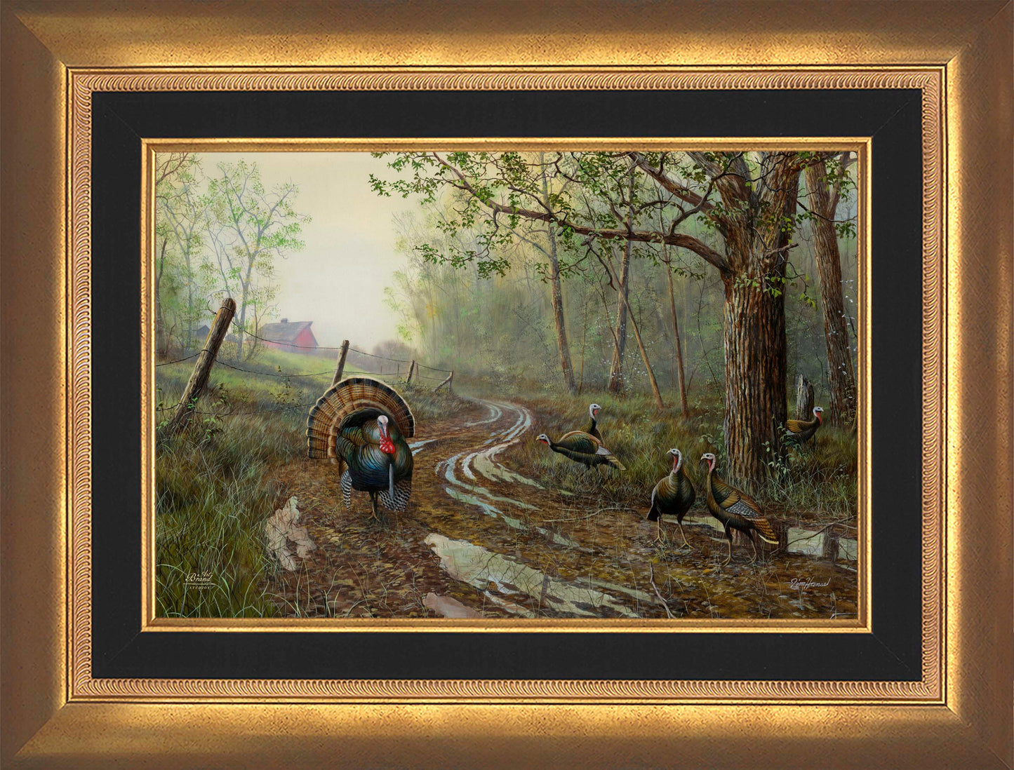 Spring Fever - Limited Edition Canvas