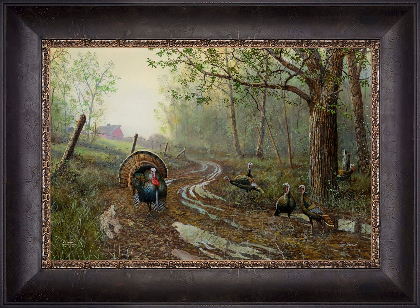 Spring Fever - Limited Edition Canvas