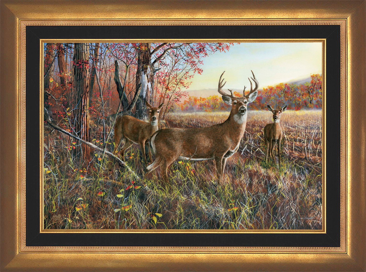 The Gathering - Limited Edition Canvas
