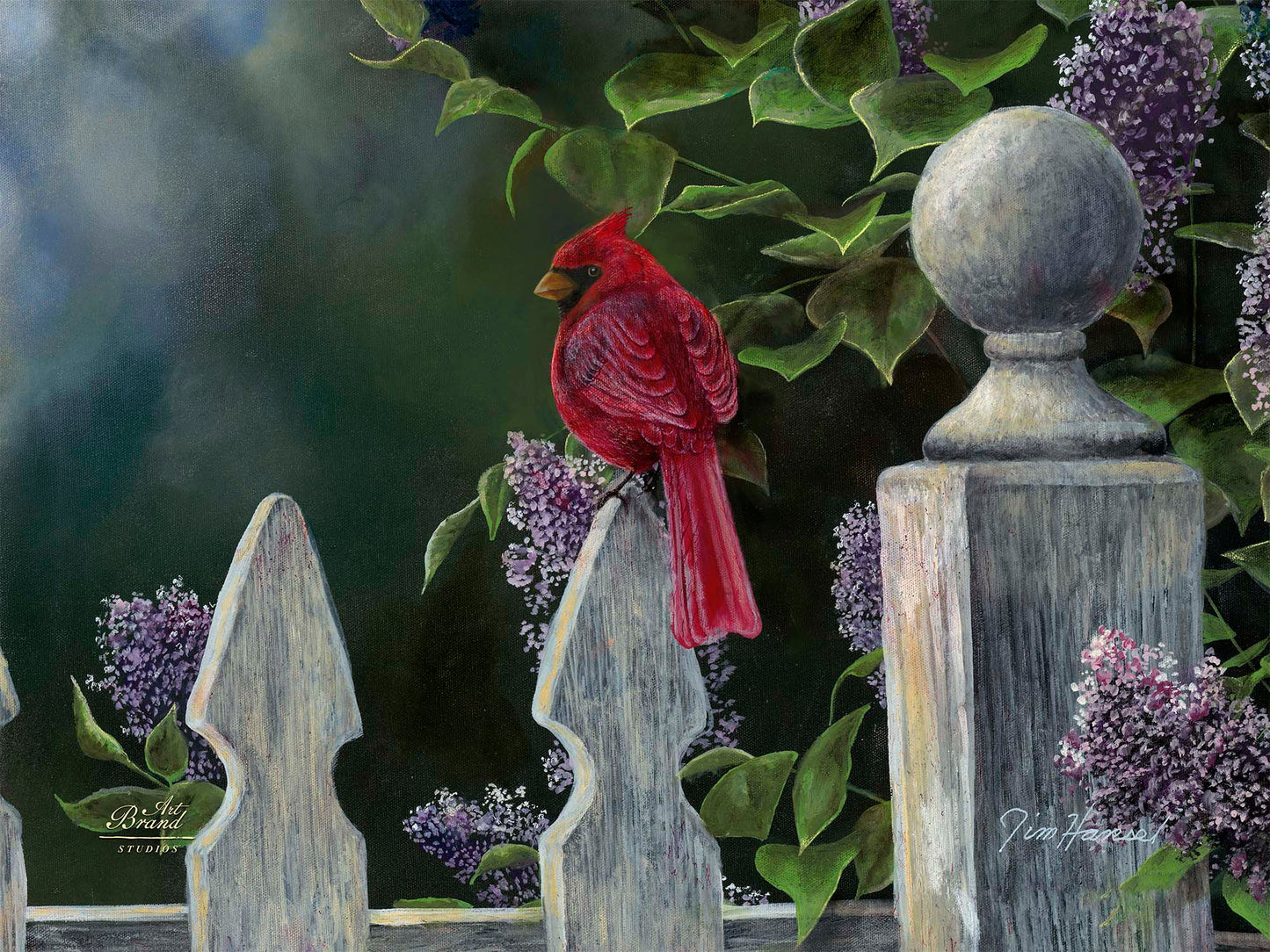 Birds Eye View-Cardinal - Limited Edition Canvas