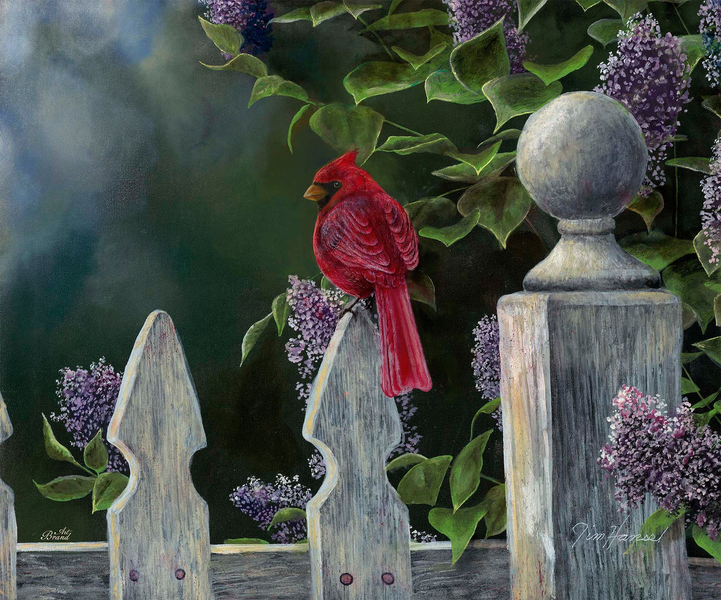 Birds Eye View-Cardinal - Limited Edition Canvas