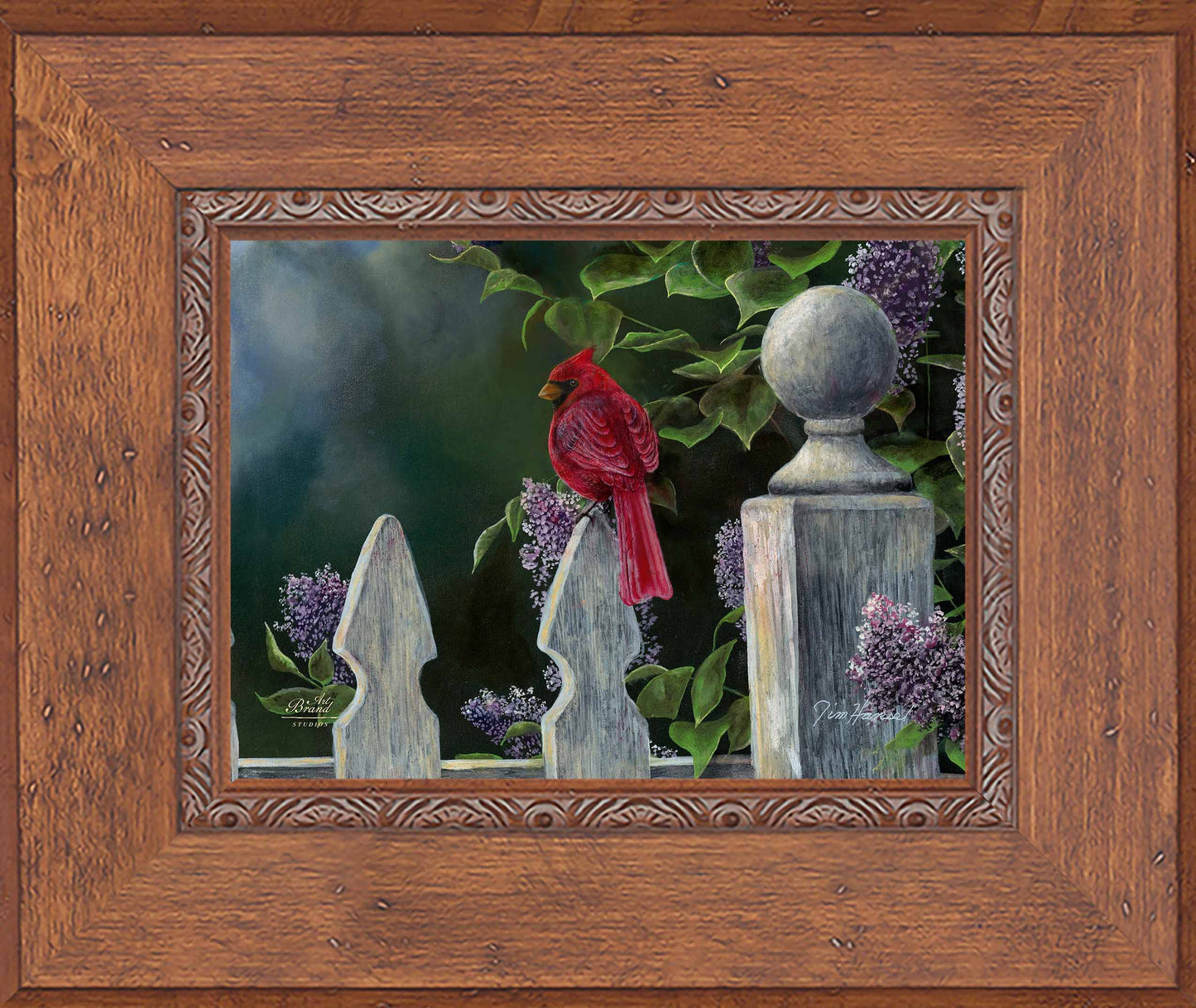 Birds Eye View-Cardinal - Limited Edition Canvas