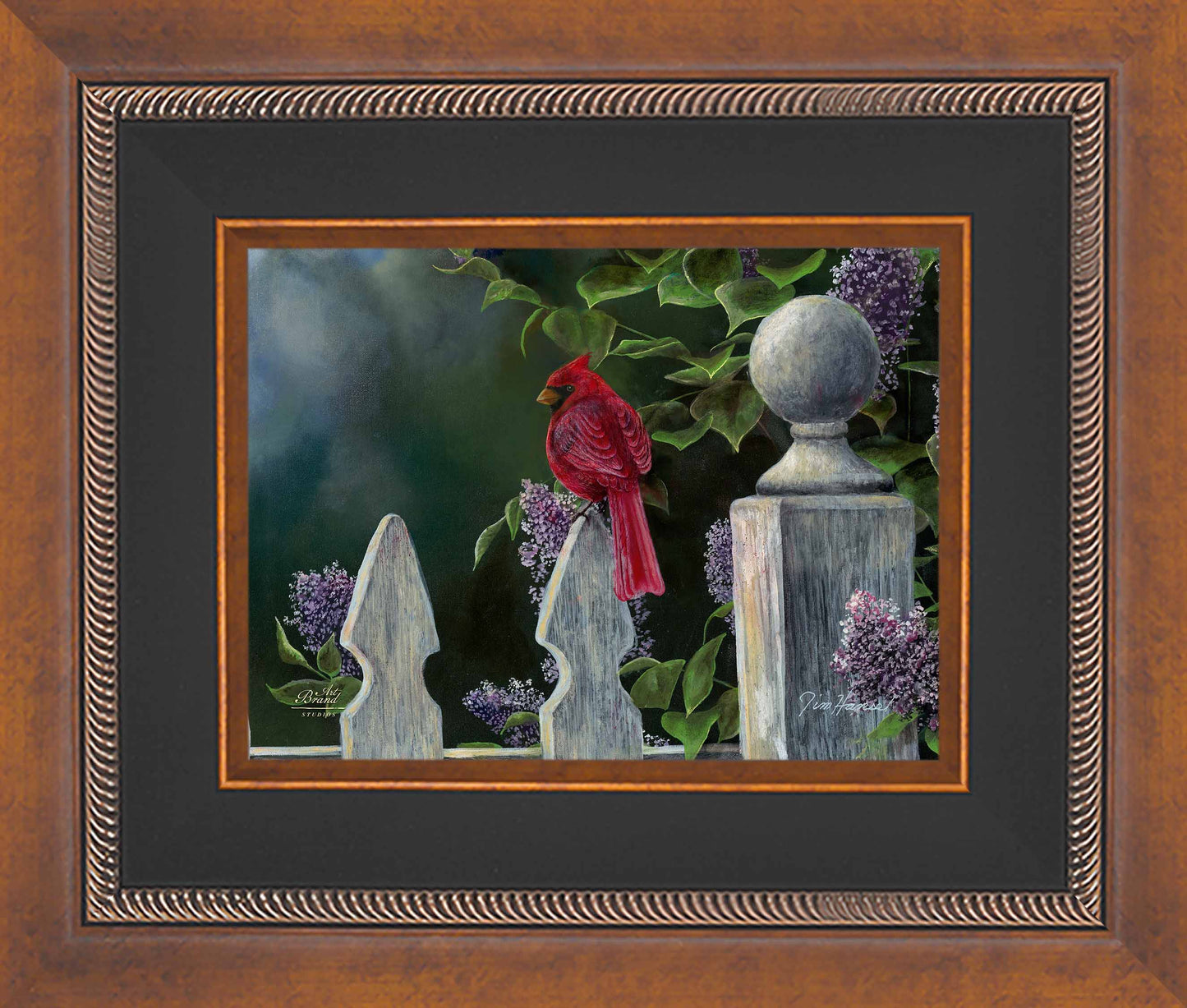 Birds Eye View-Cardinal - Limited Edition Canvas