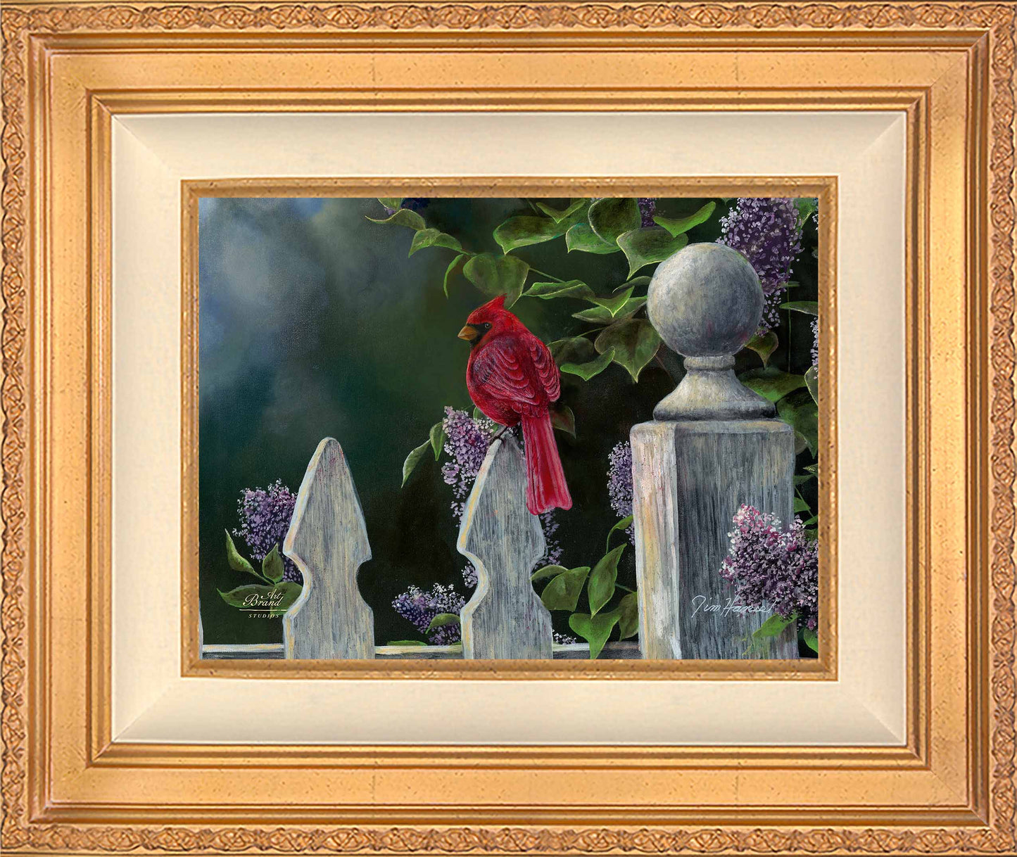 Birds Eye View-Cardinal - Limited Edition Canvas