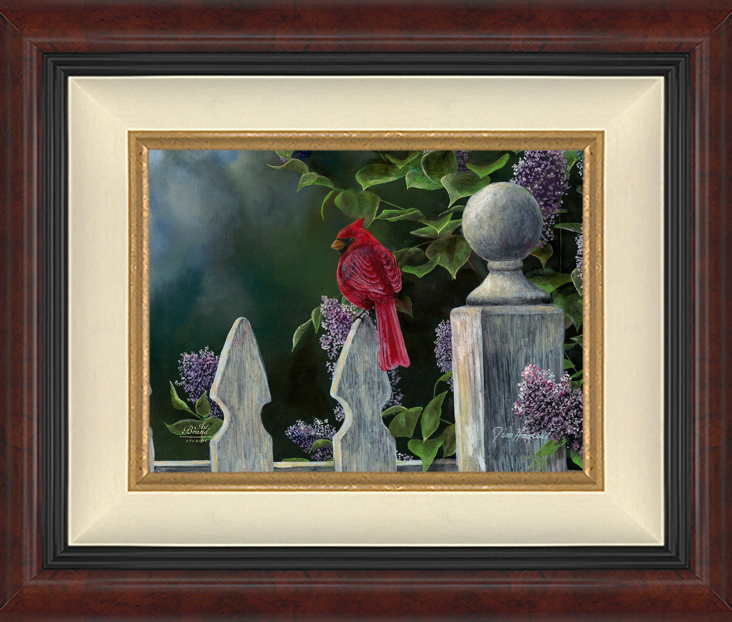 Birds Eye View-Cardinal - Limited Edition Canvas