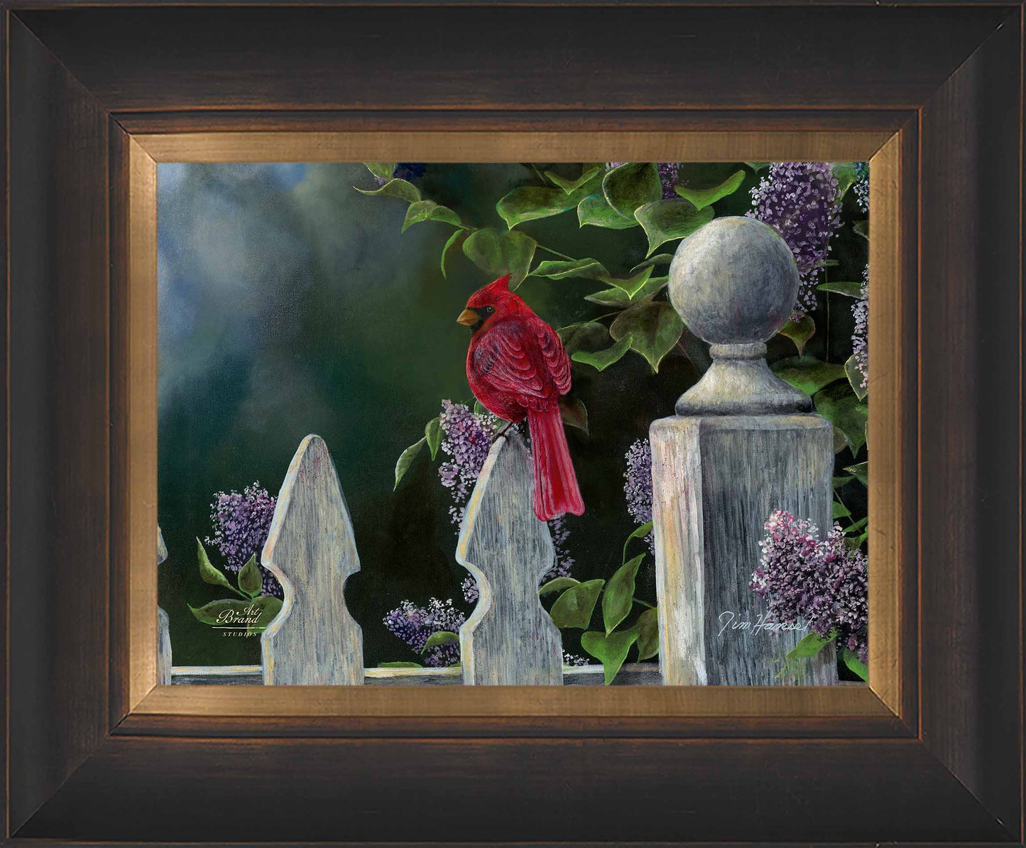 Birds Eye View-Cardinal - Limited Edition Canvas