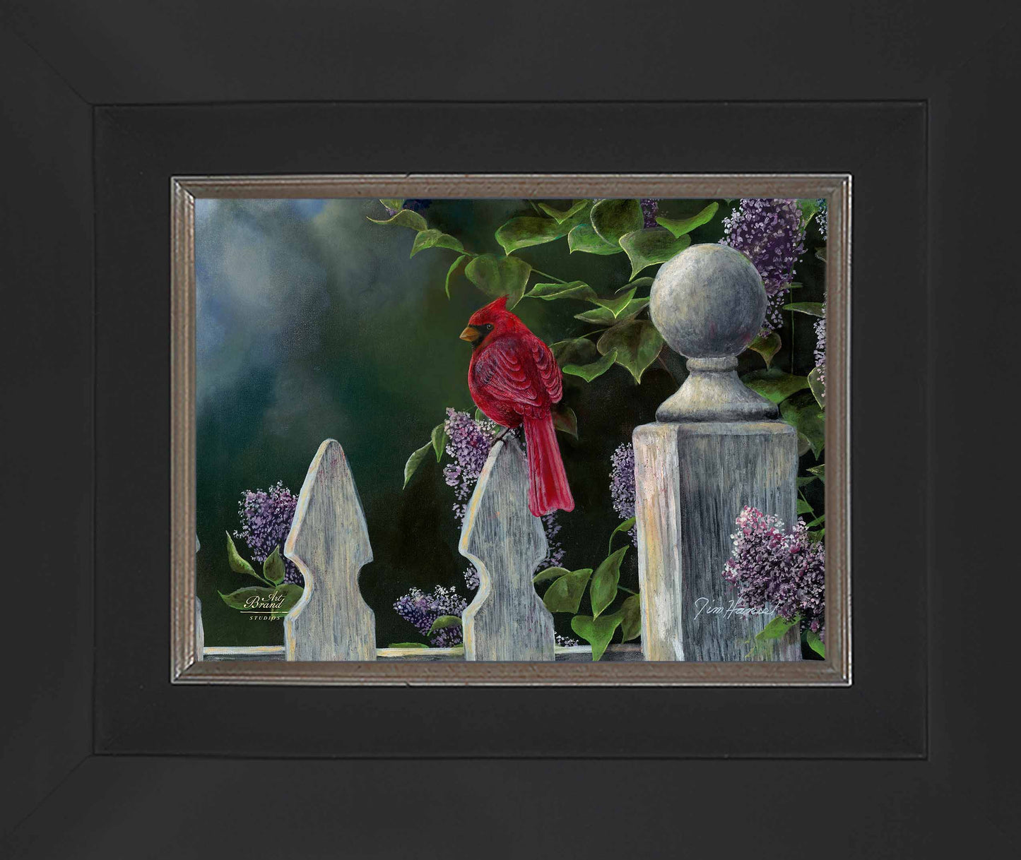 Birds Eye View-Cardinal - Limited Edition Canvas