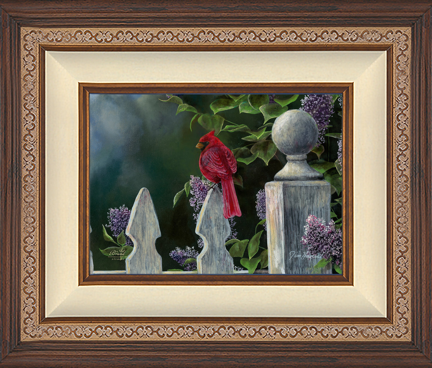 Birds Eye View-Cardinal - Limited Edition Canvas