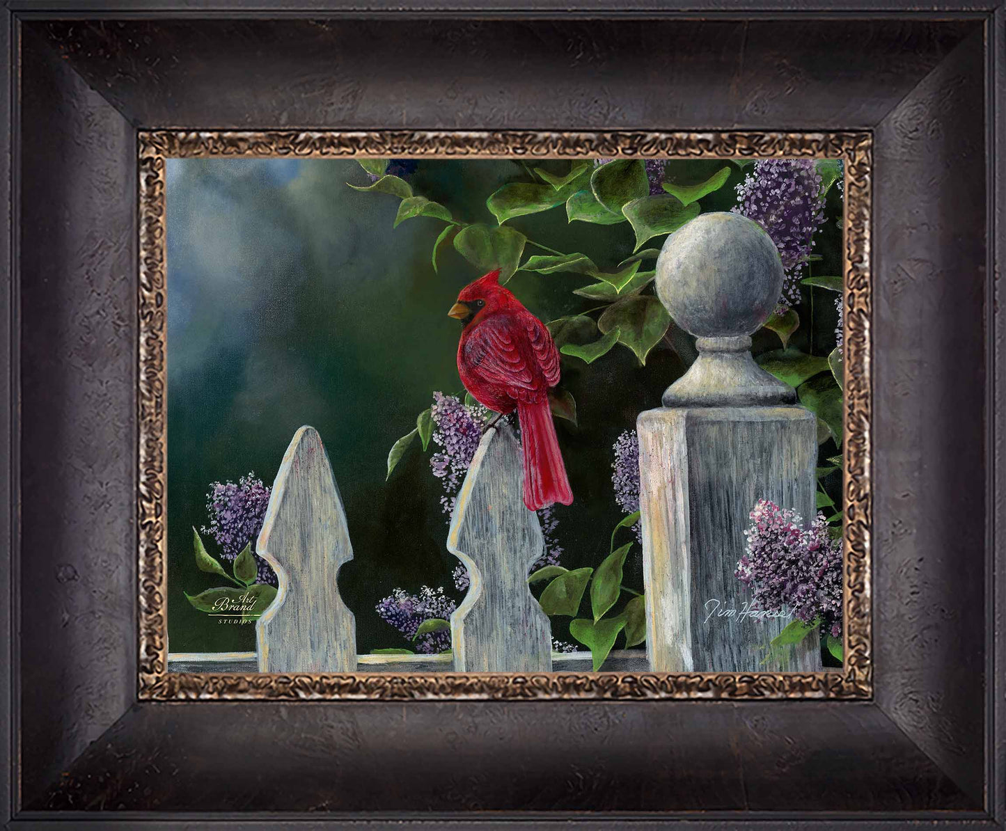 Birds Eye View-Cardinal - Limited Edition Canvas