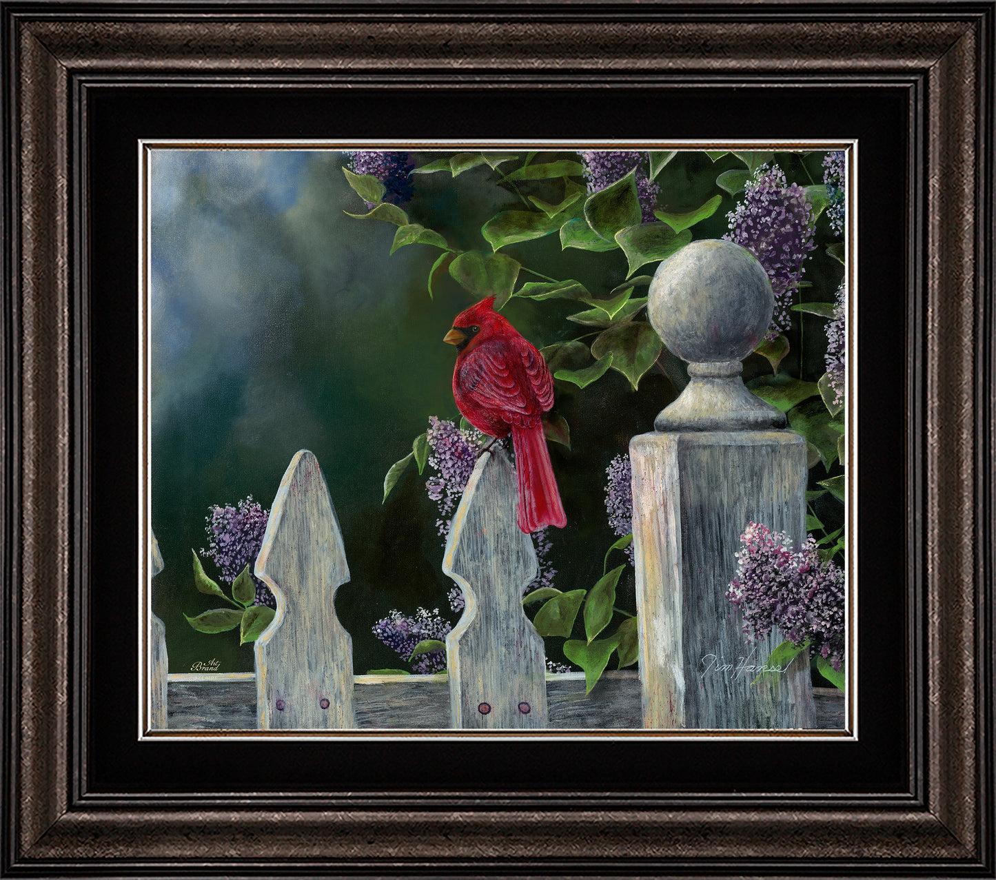 Birds Eye View-Cardinal - Limited Edition Canvas