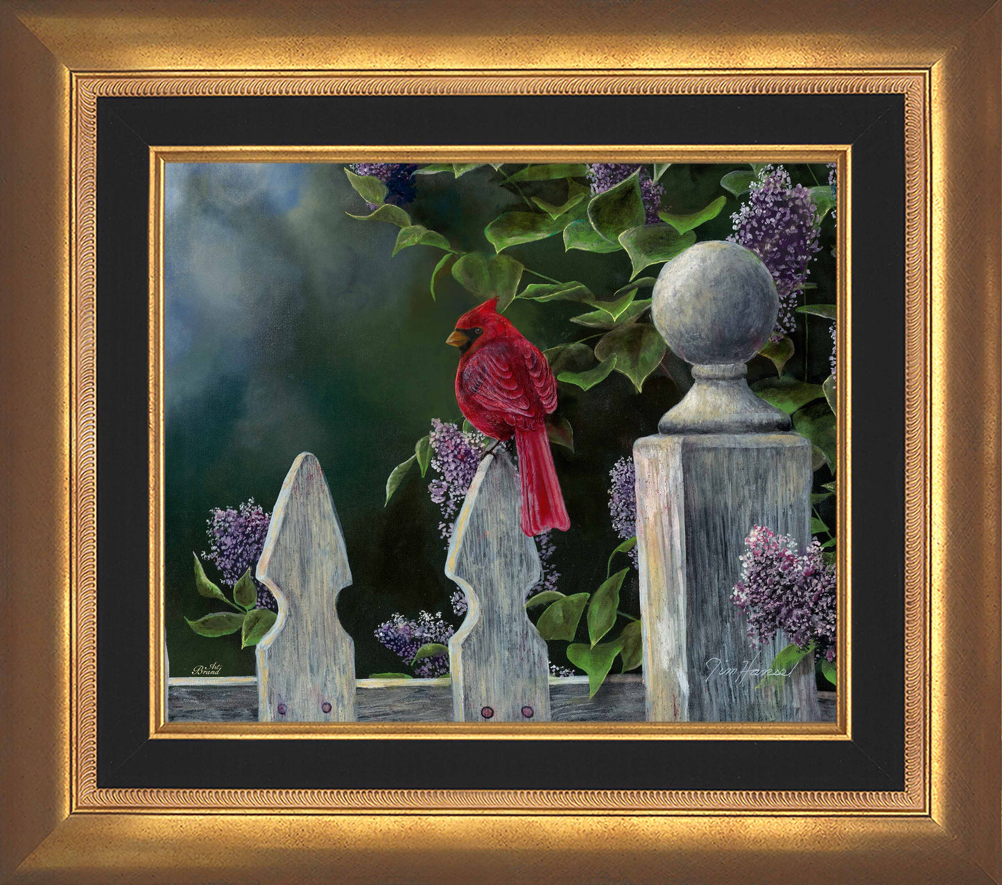 Birds Eye View-Cardinal - Limited Edition Canvas