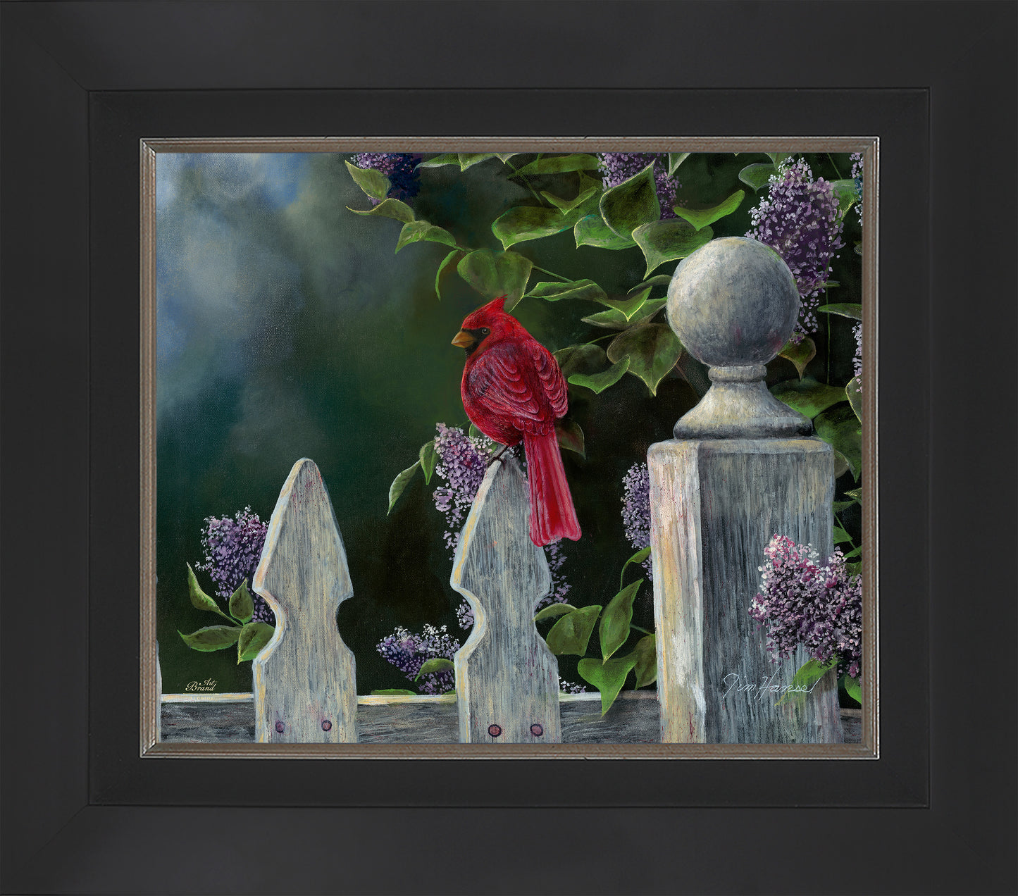 Birds Eye View-Cardinal - Limited Edition Canvas