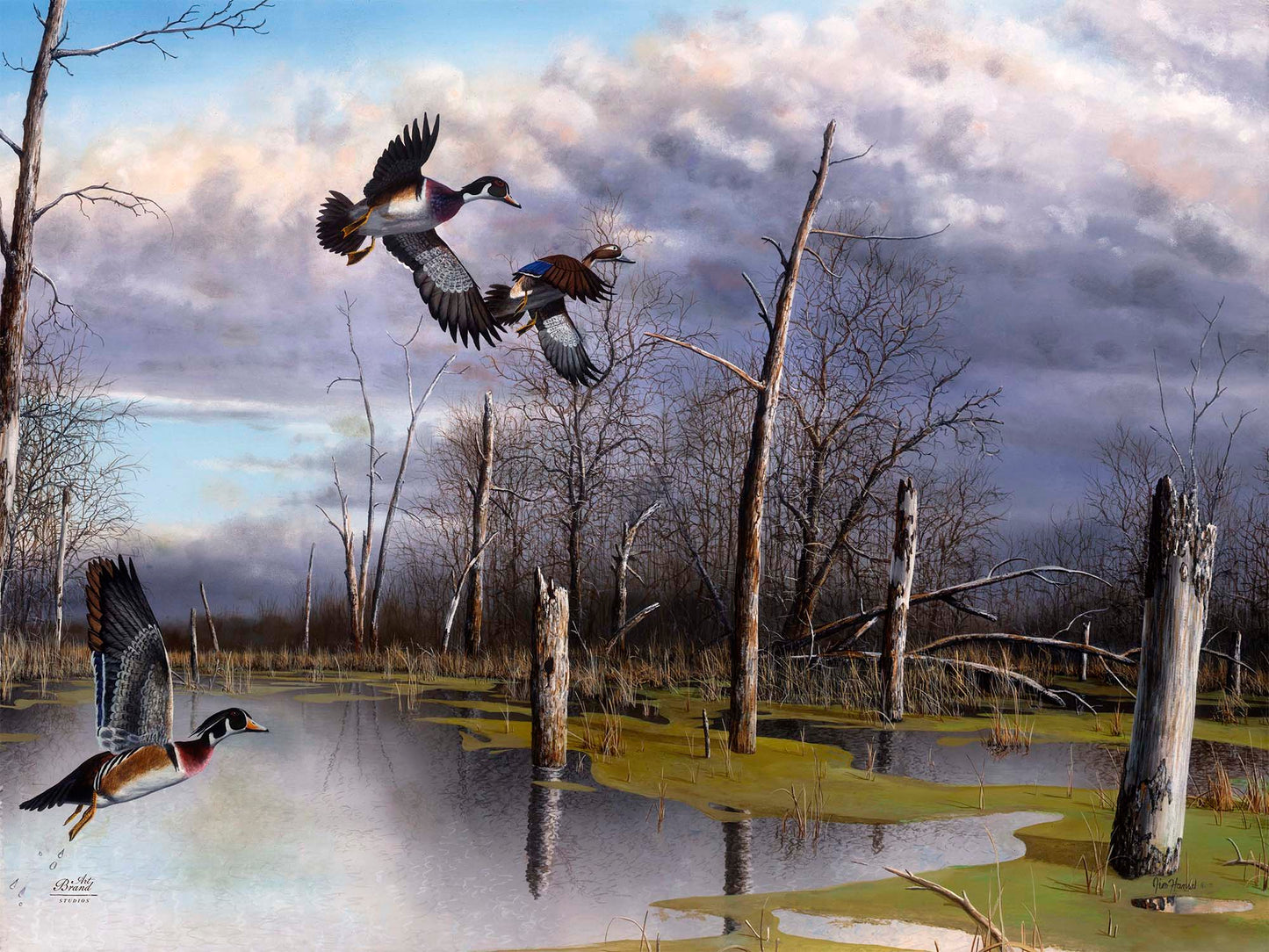 Backwater Woodies - Limited Edition Canvas