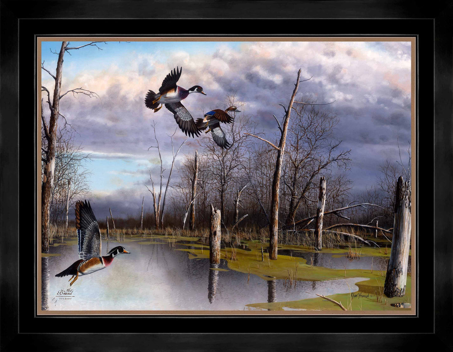 Backwater Woodies - Limited Edition Canvas
