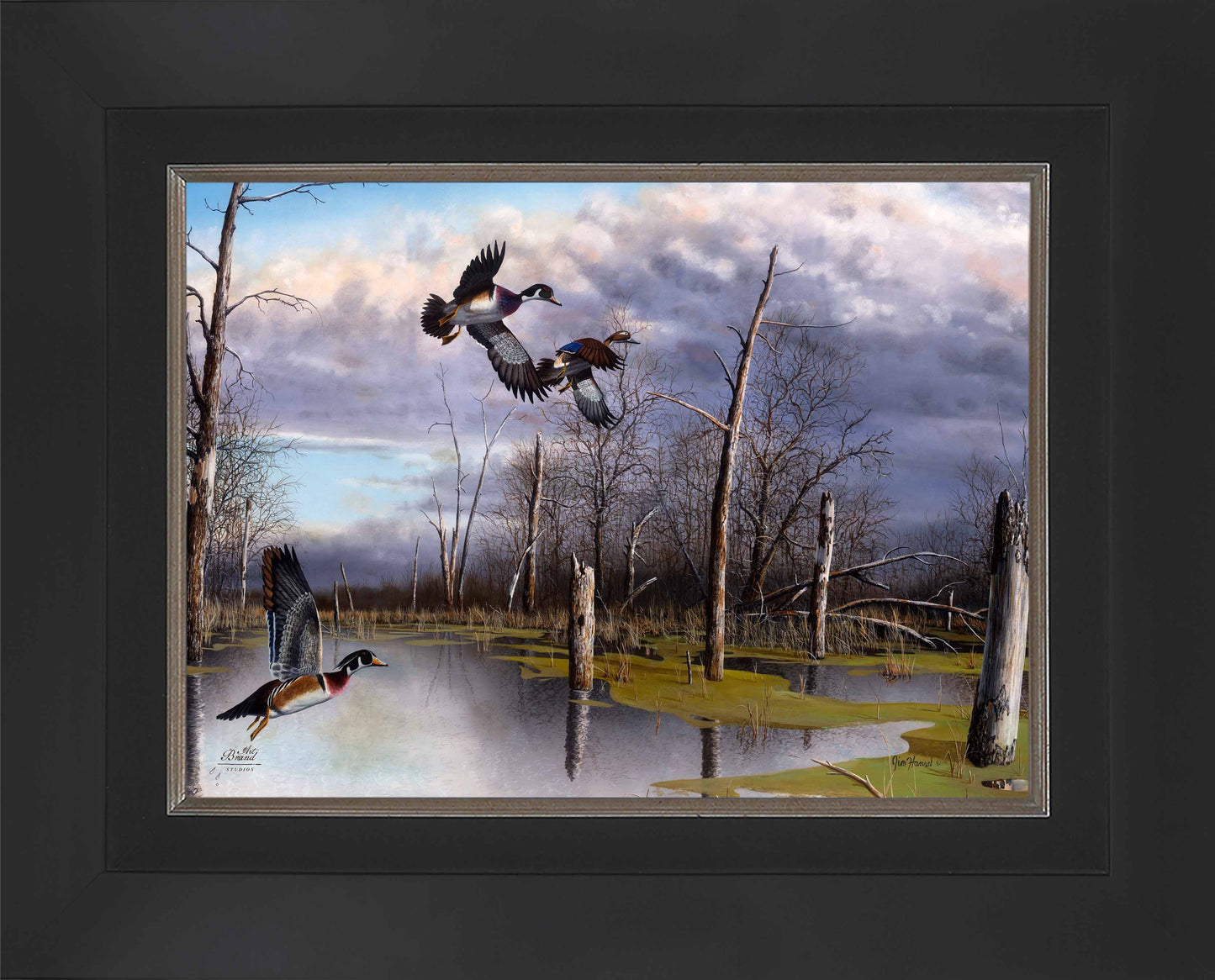 Backwater Woodies - Limited Edition Canvas