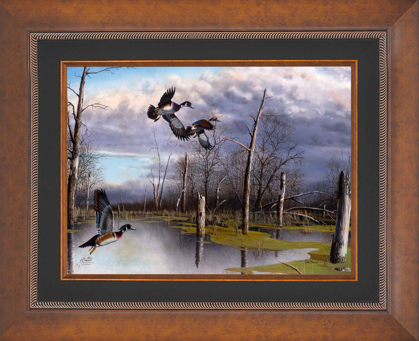 Backwater Woodies - Limited Edition Canvas