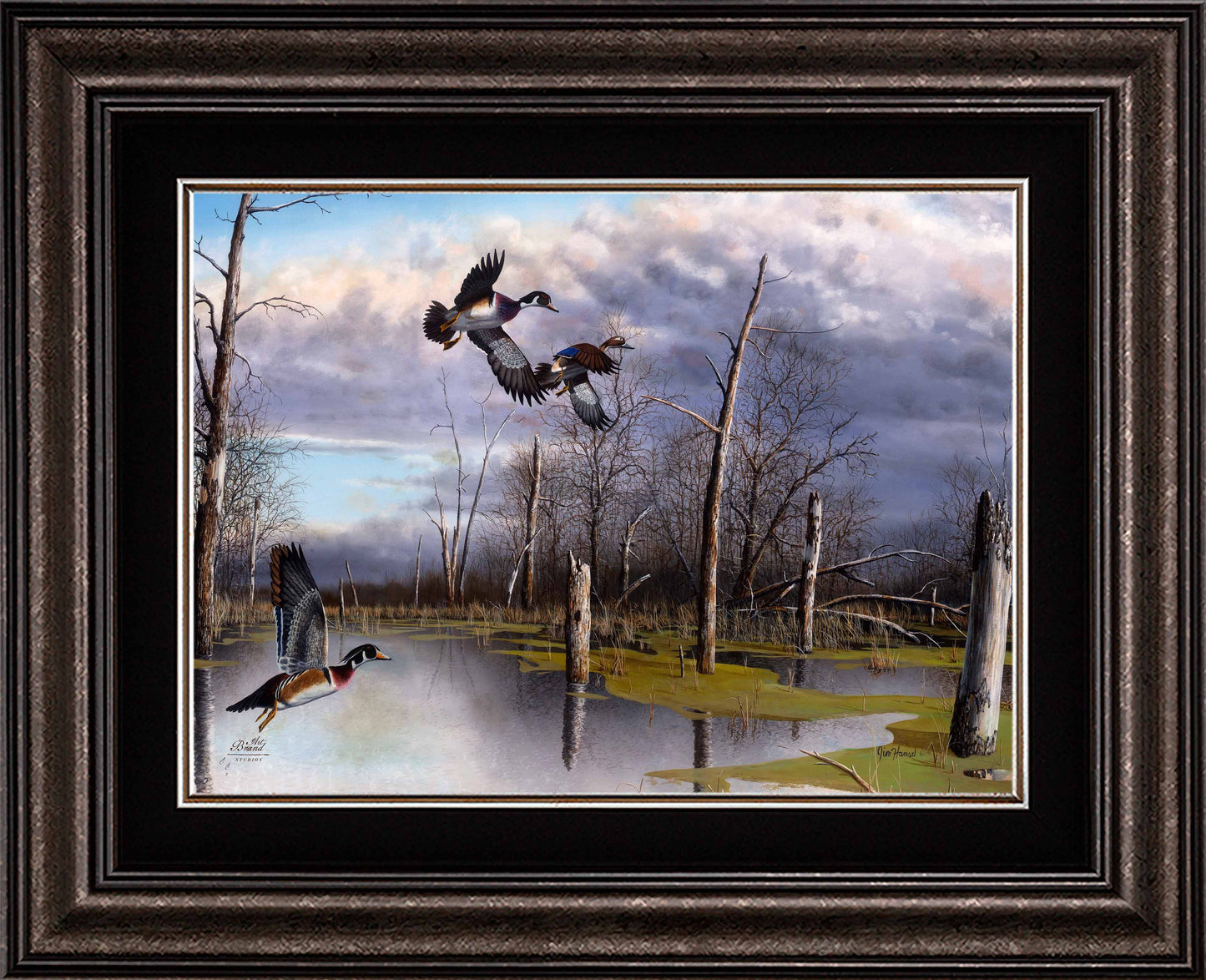 Backwater Woodies - Limited Edition Canvas