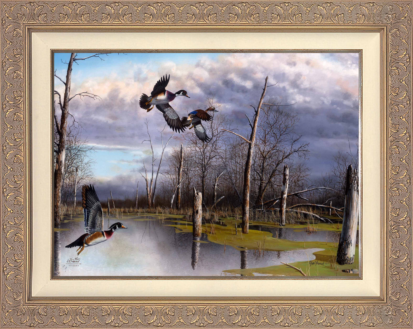 Backwater Woodies - Limited Edition Canvas
