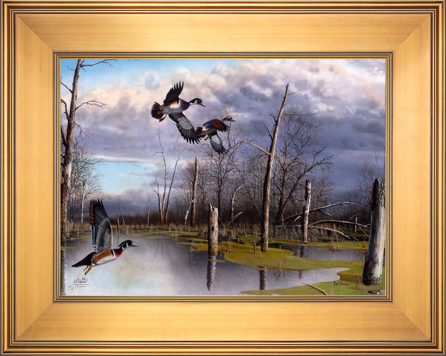 Backwater Woodies - Limited Edition Canvas