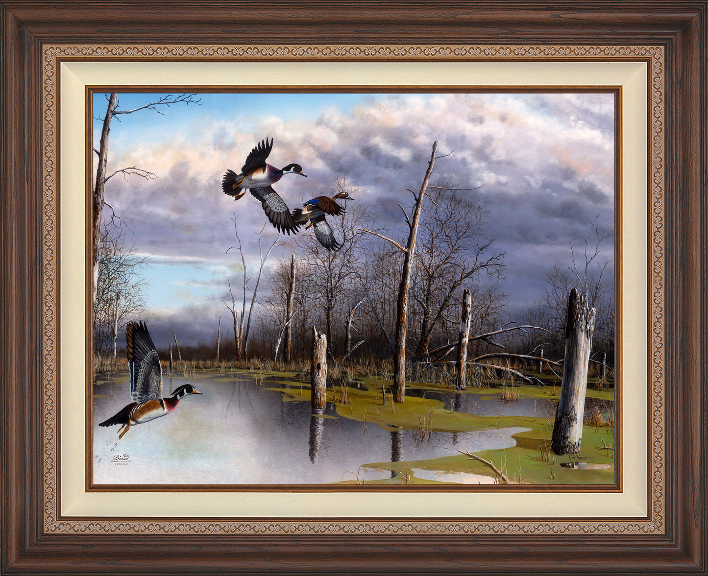Backwater Woodies - Limited Edition Canvas
