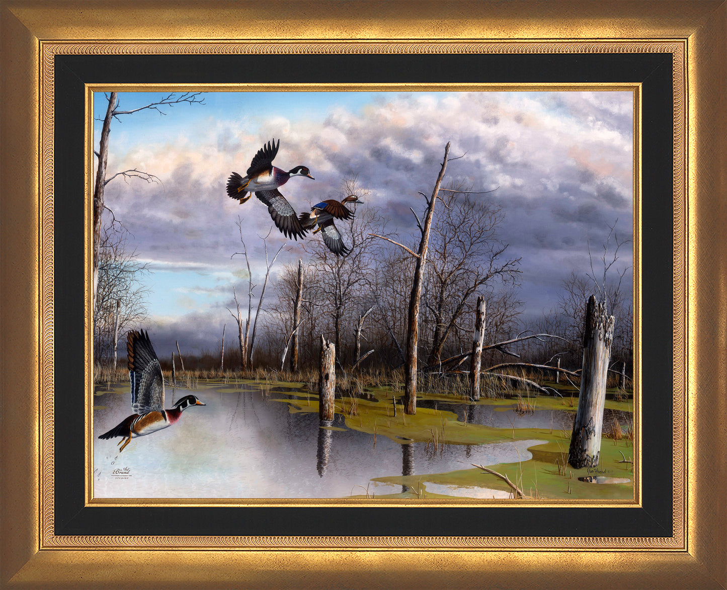 Backwater Woodies - Limited Edition Canvas
