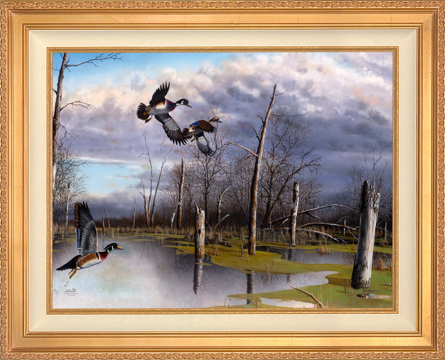 Backwater Woodies - Limited Edition Canvas