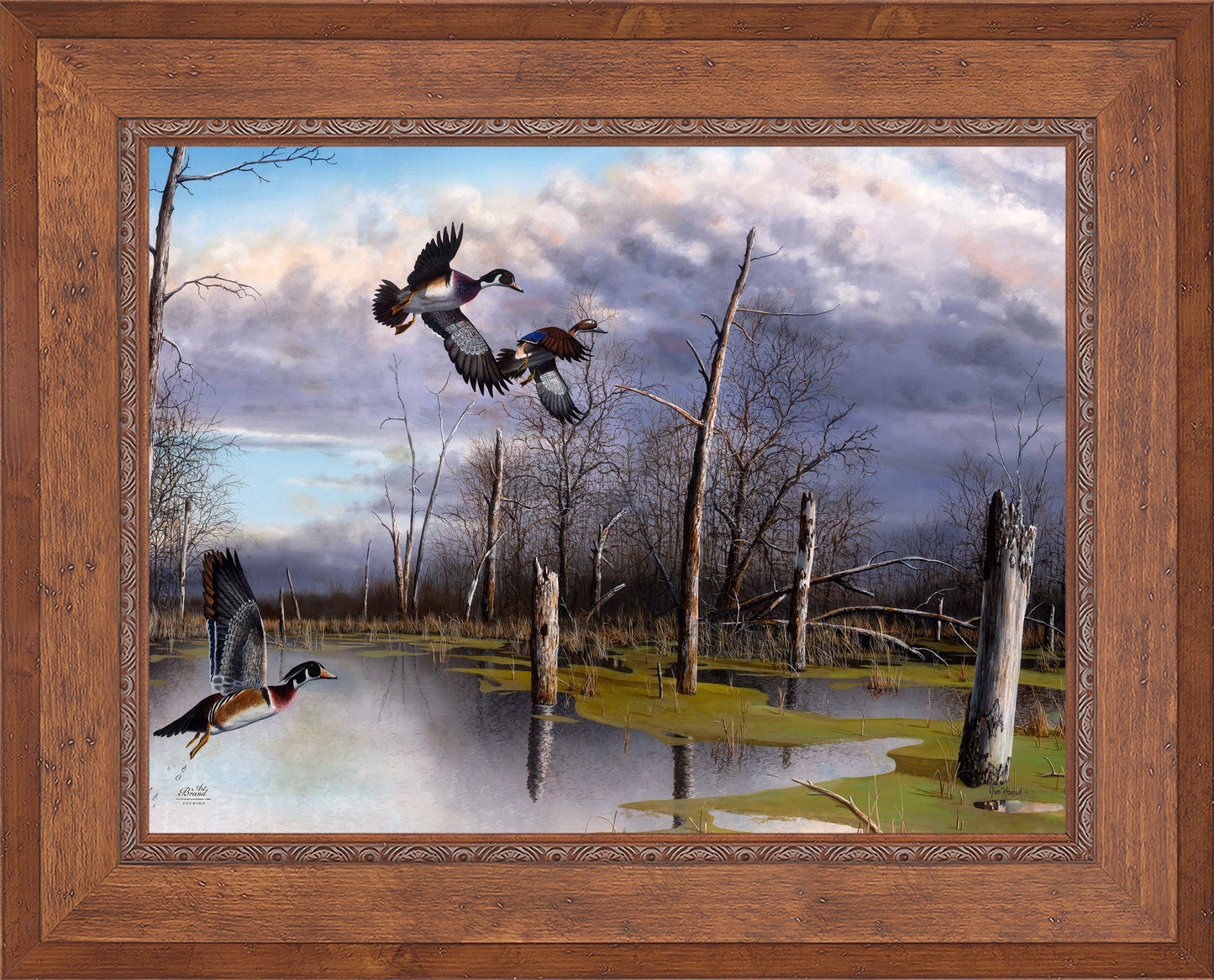 Backwater Woodies - Limited Edition Canvas