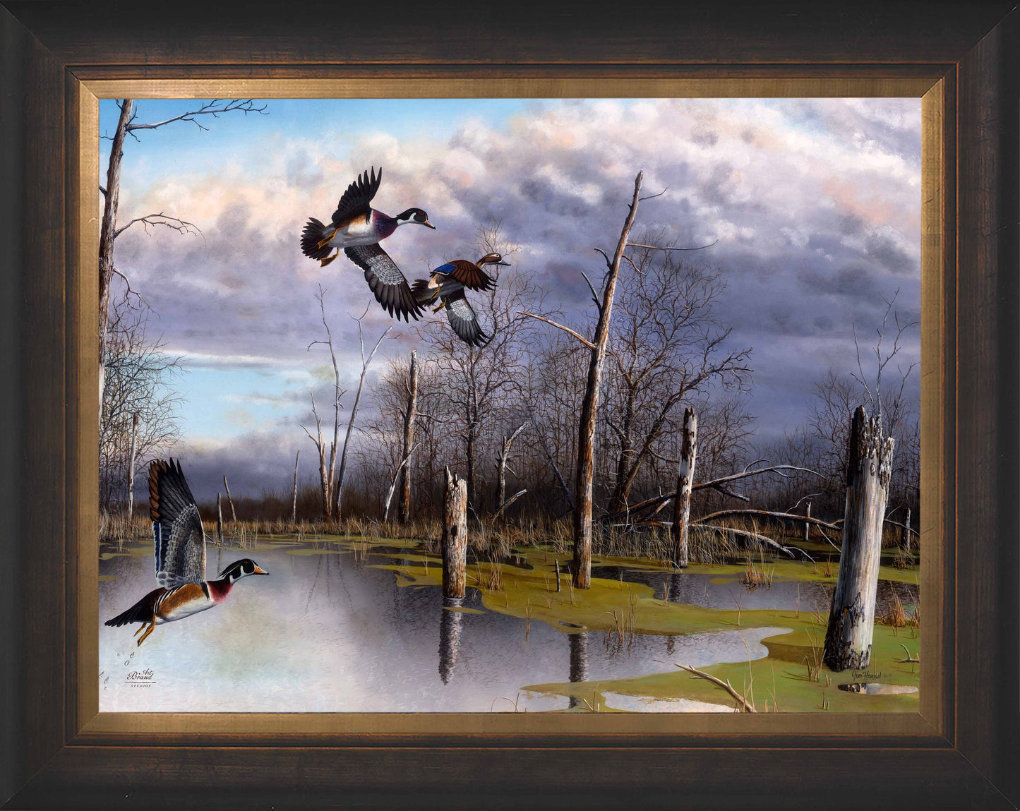 Backwater Woodies - Limited Edition Canvas