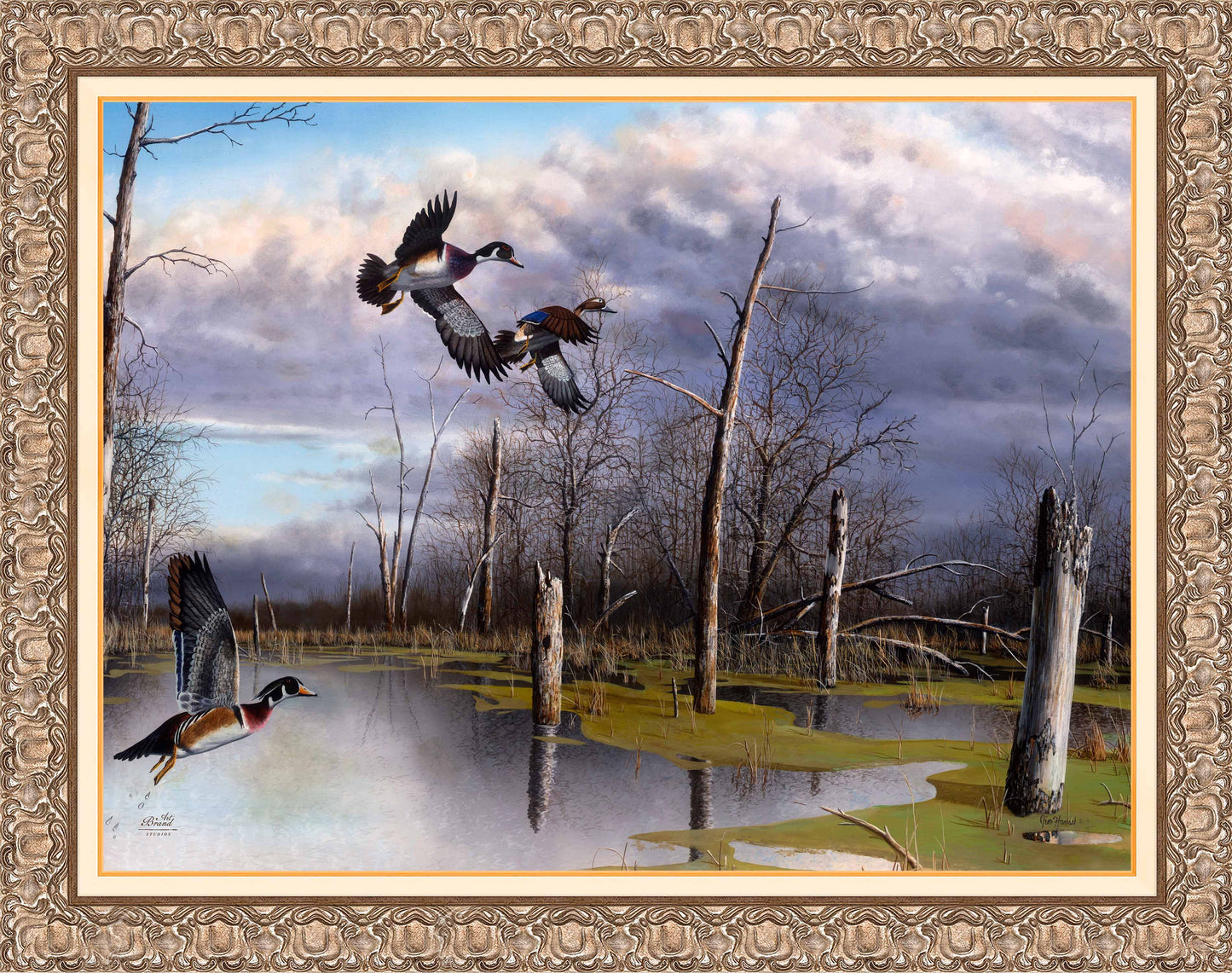 Backwater Woodies - Limited Edition Canvas