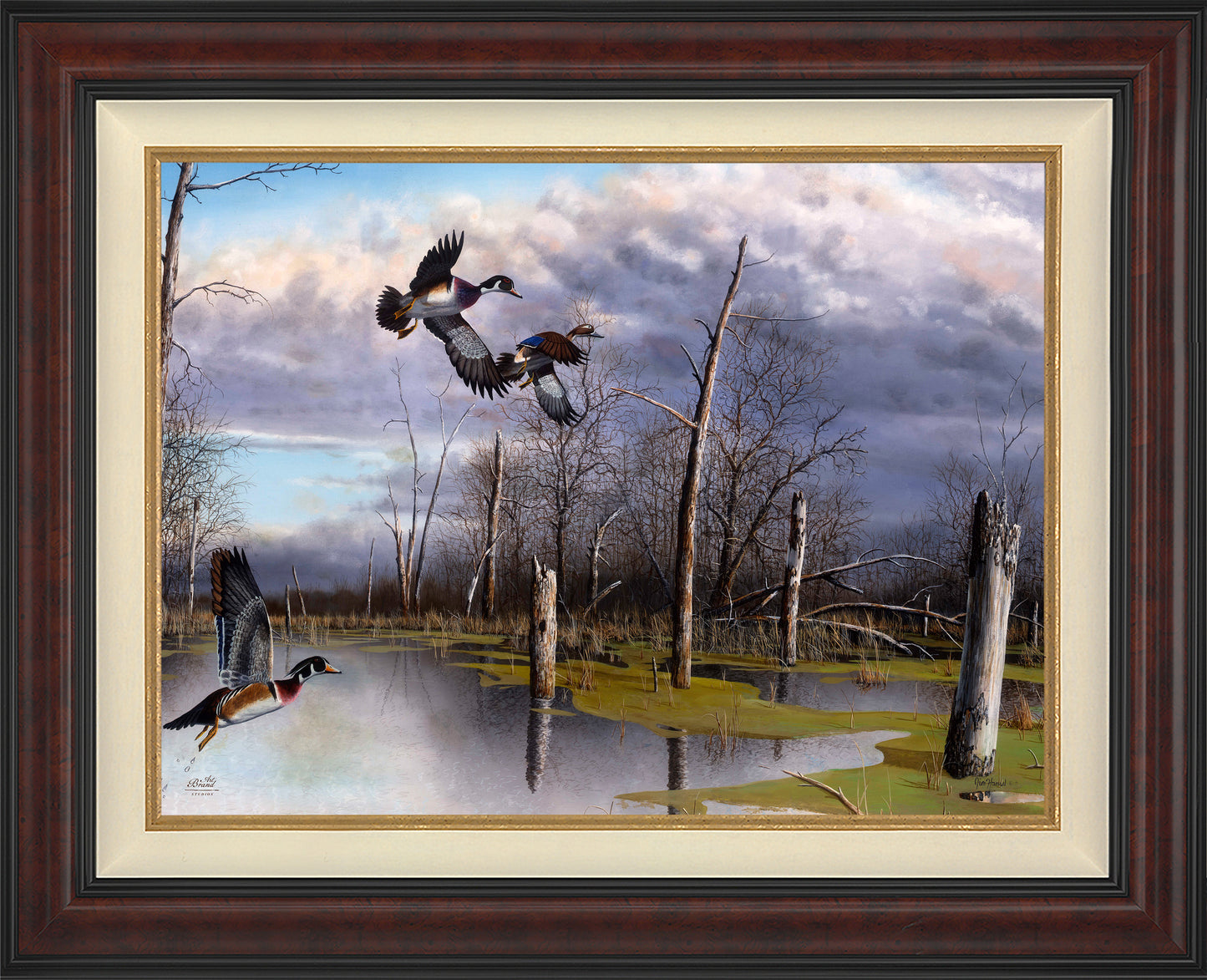 Backwater Woodies - Limited Edition Canvas