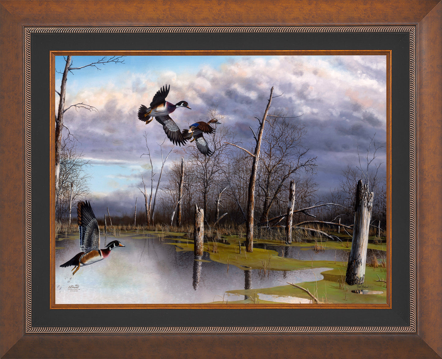 Backwater Woodies - Limited Edition Canvas