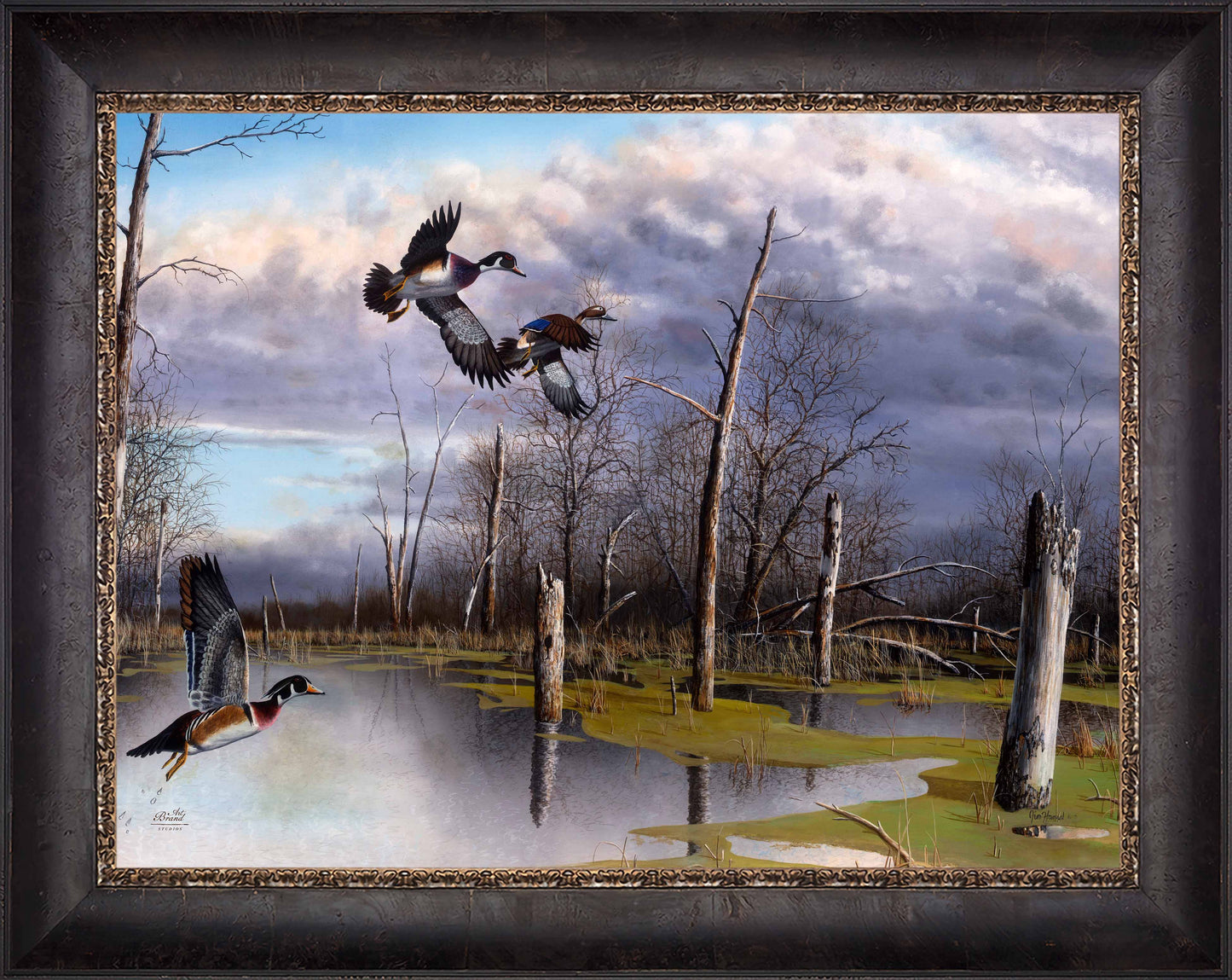 Backwater Woodies - Limited Edition Canvas