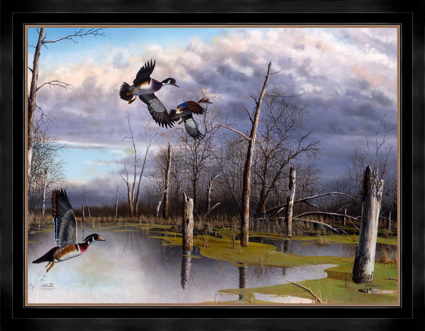 Backwater Woodies - Limited Edition Canvas