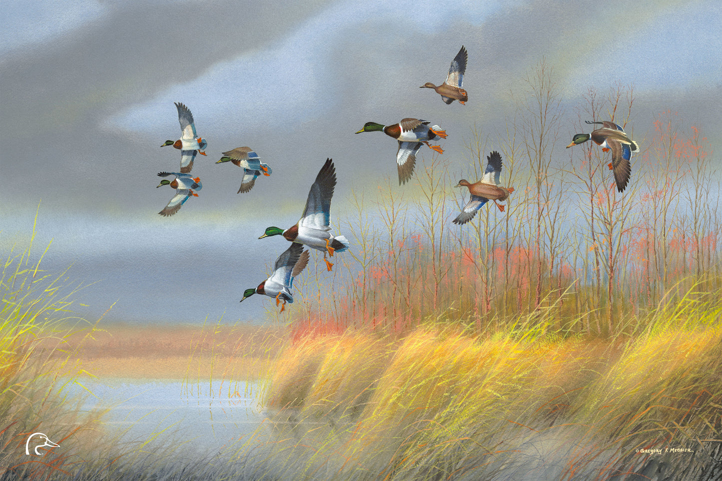 Returning Home - Mallards Limited Edition Canvas - Official Ducks Unlimited Art