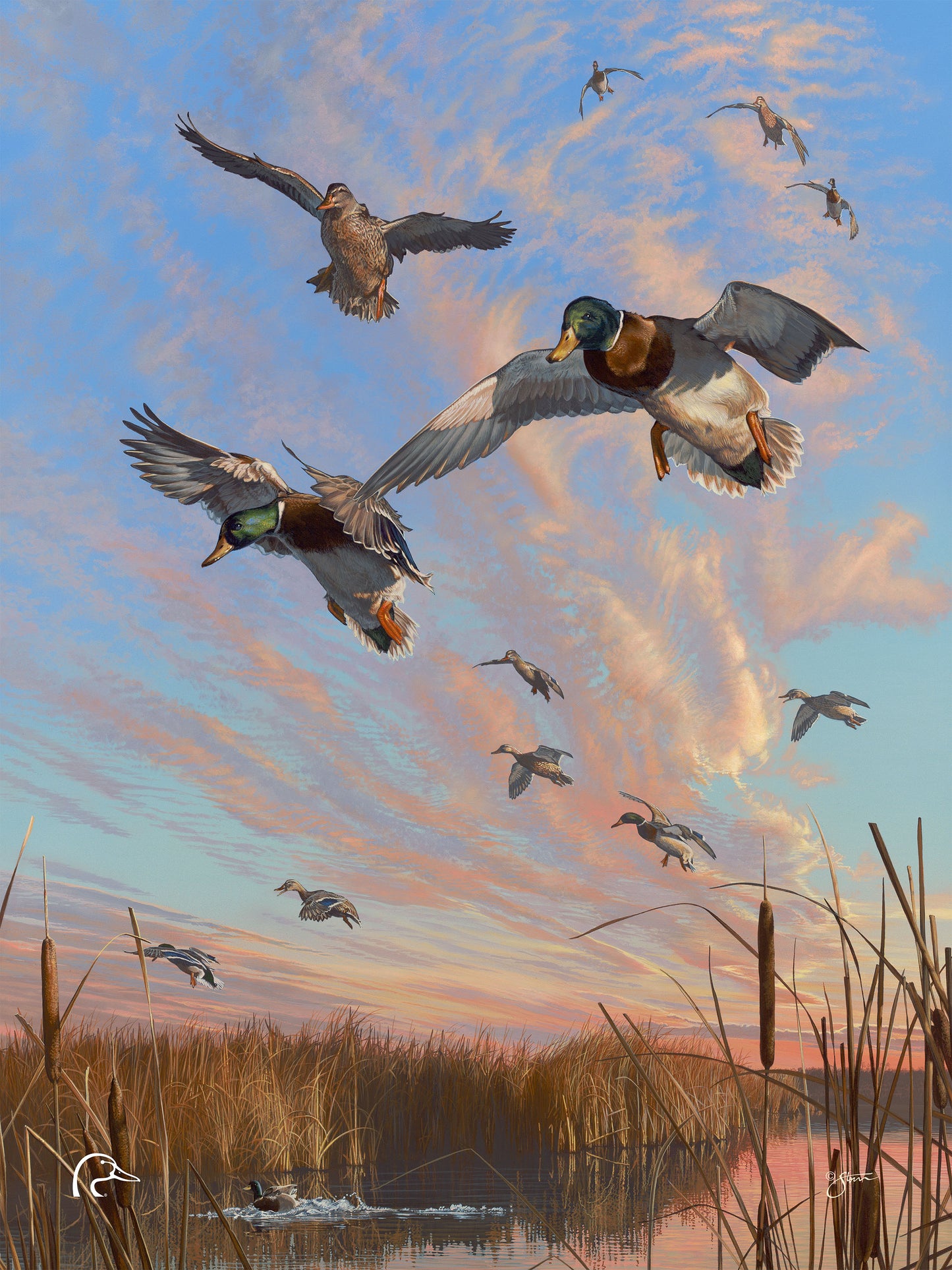 Sunset's Last Minutes Limited Edition Canvas - Official Ducks Unlimited Art