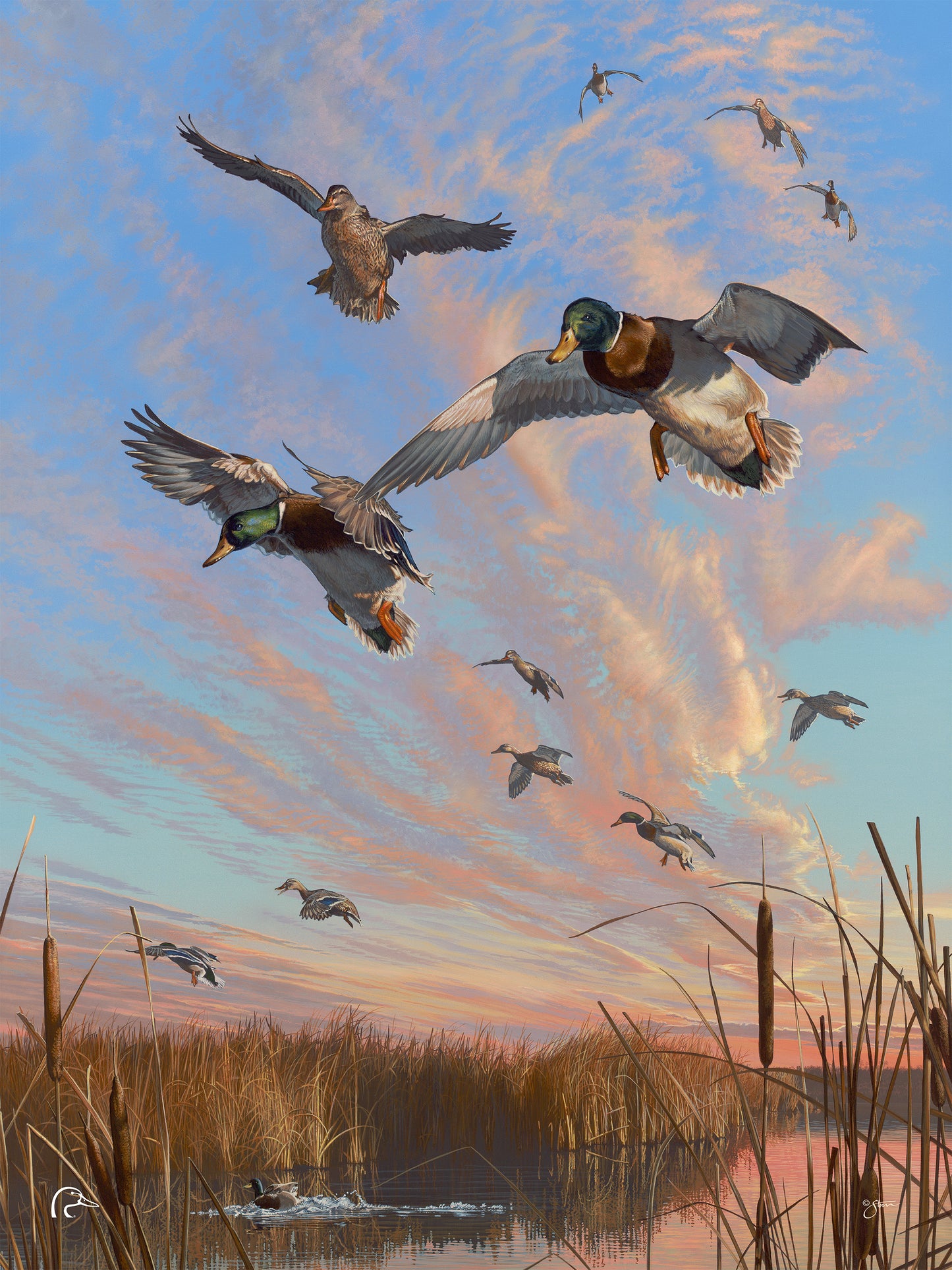 Sunset's Last Minutes Limited Edition Canvas - Official Ducks Unlimited Art