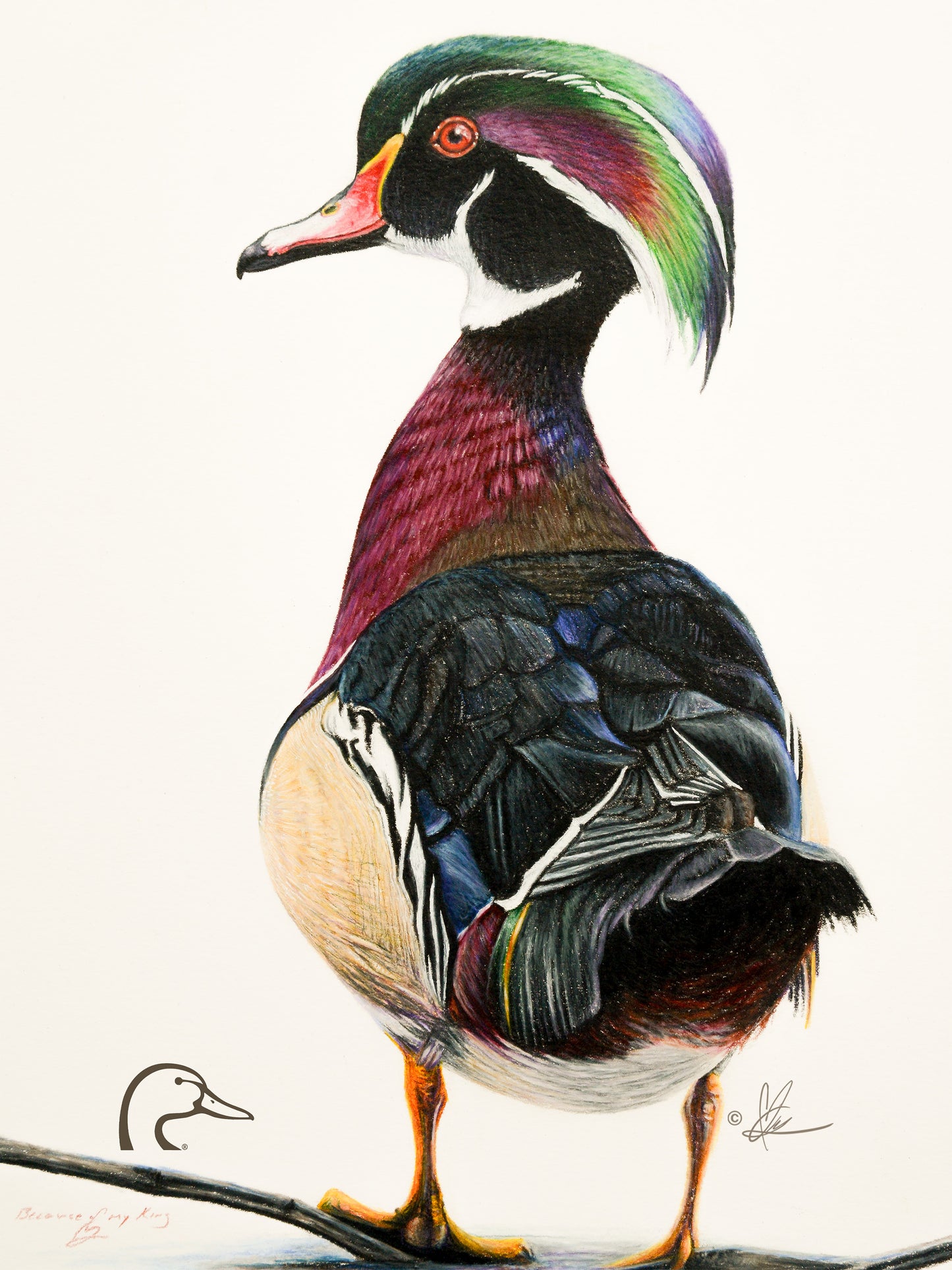 Woody Limited Edition Canvas - Official Ducks Unlimited