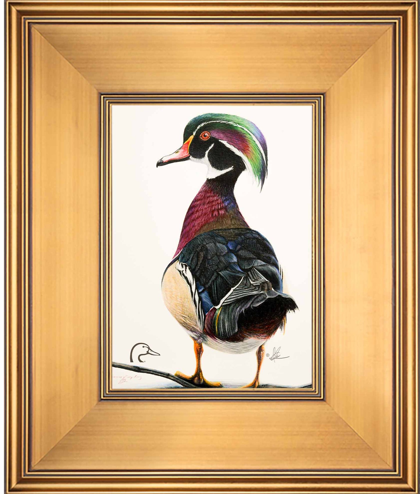 Woody Limited Edition Canvas - Official Ducks Unlimited