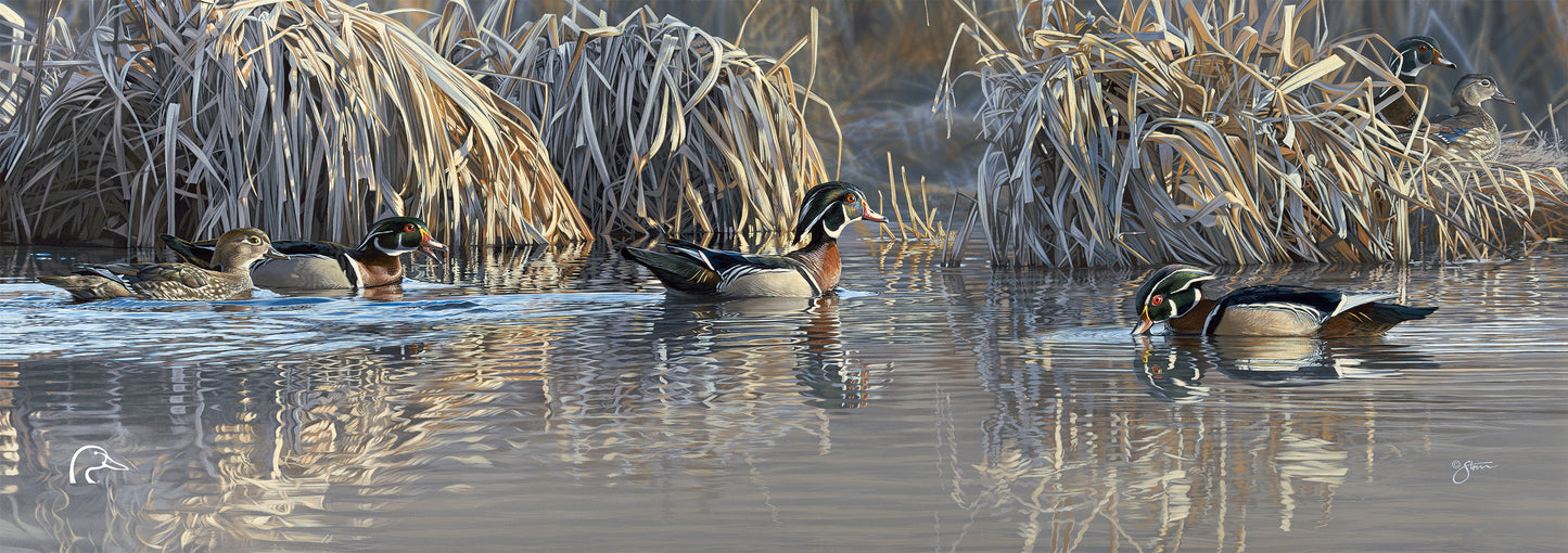 Backwater Gathering Limited Edition Canvas - Official Ducks Unlimited
