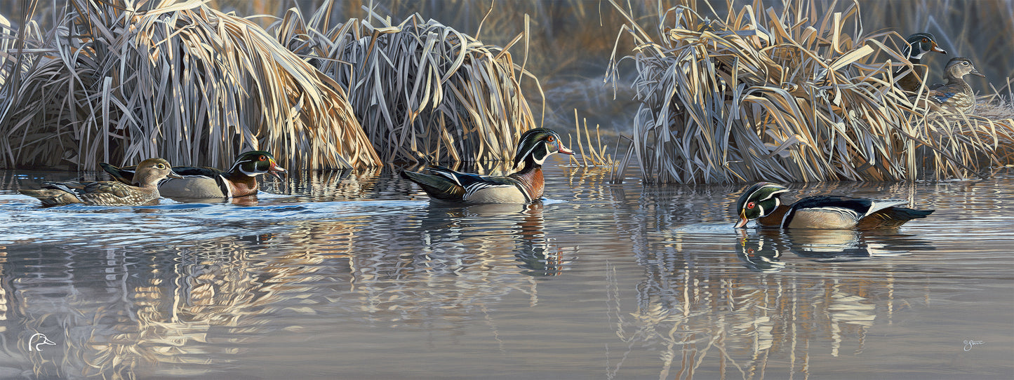 Backwater Gathering Limited Edition Canvas - Official Ducks Unlimited