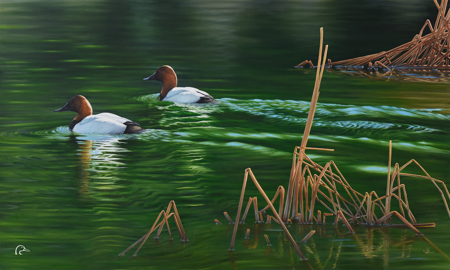 A Beautiful Day Limited Edition Canvas - Official Ducks Unlimited Art
