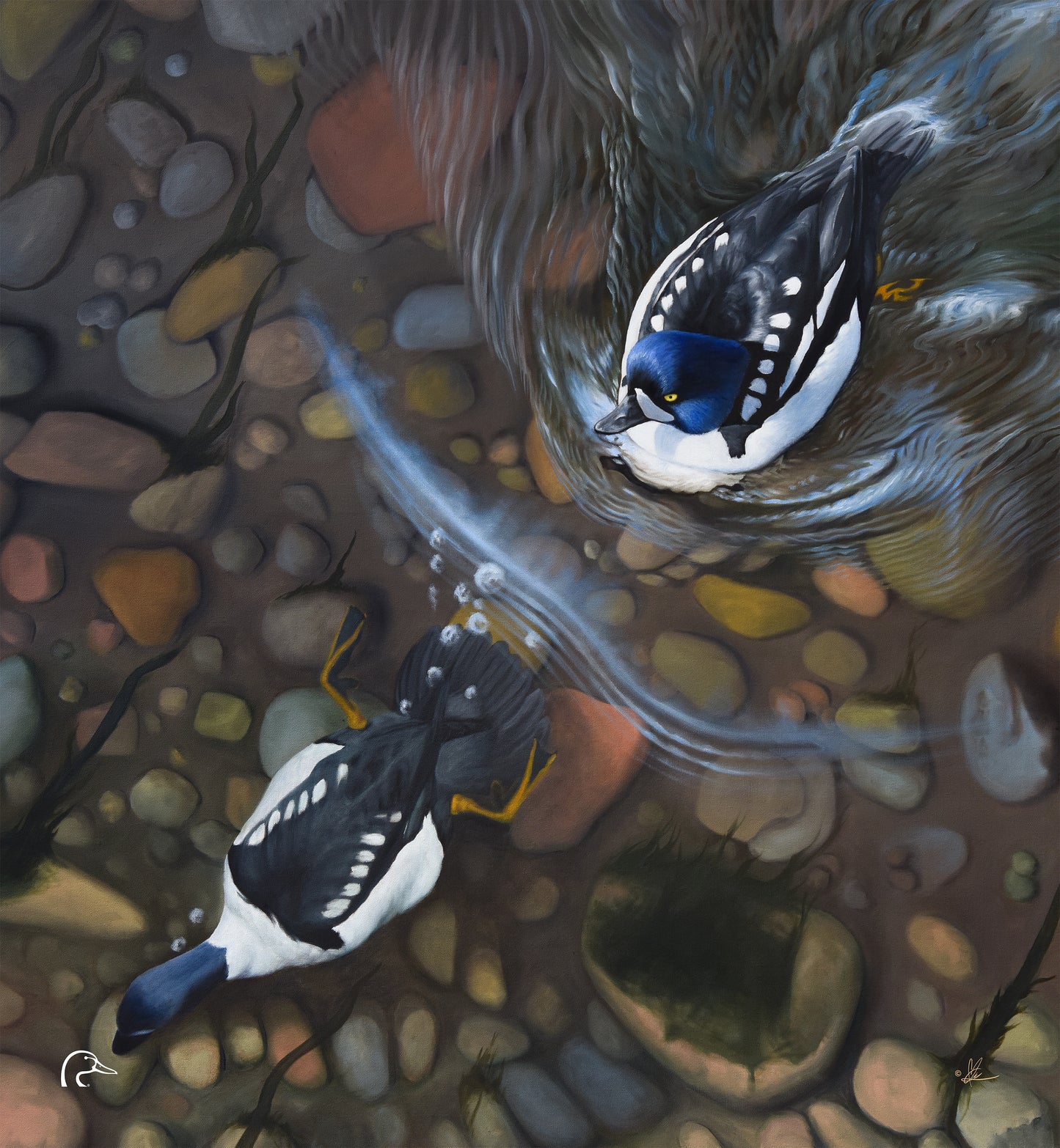 Lamar River Divers Limited Edition Canvas - Official Ducks Unlimited Art