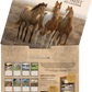 Horses in the Mist - 2027 Wall Calendar
