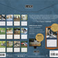 Love of Cats - 2027 Wall Calendar